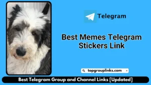 Best Memes Telegram Stickers Link